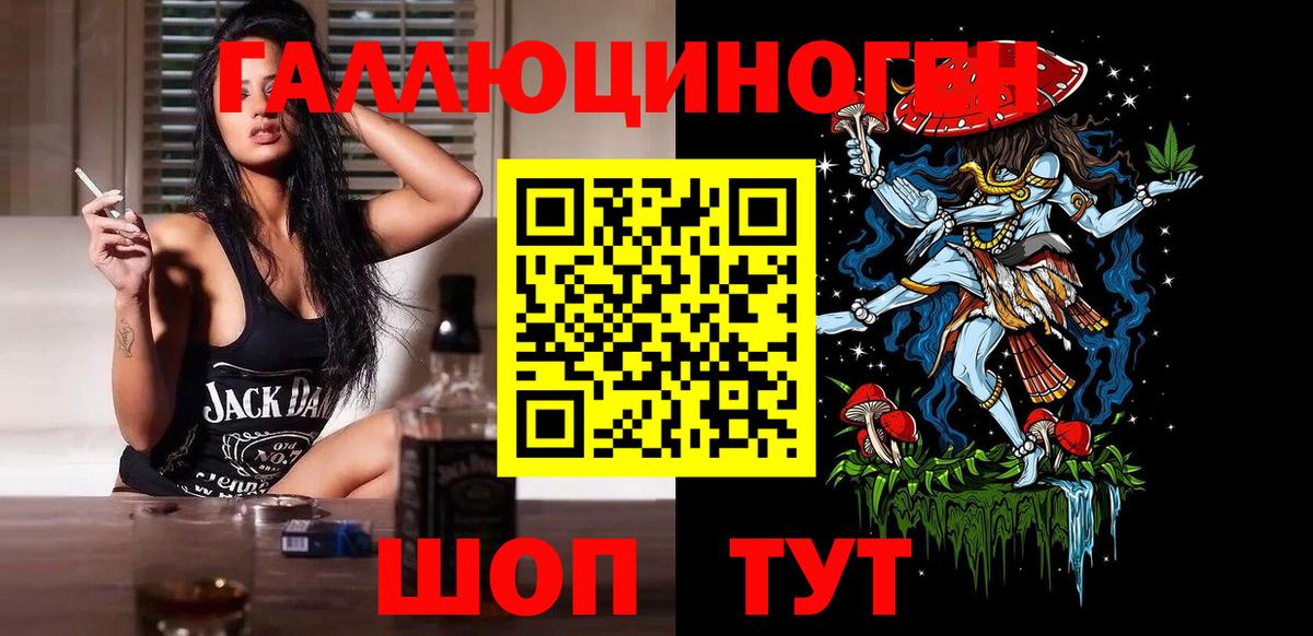 Амурск  Псилоцибиновые грибы Cubensis  Вход с VPN 