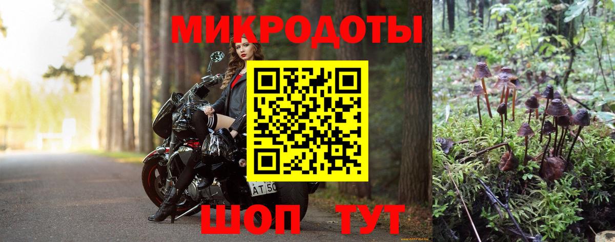Псилоцибиновые грибы GOLDEN TEACHER Амурск